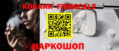 мдпв Камышлов