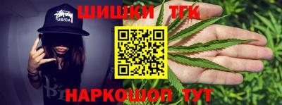 мдпв Камышлов