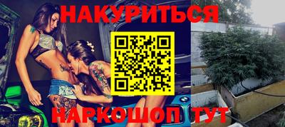 мдпв Камышлов