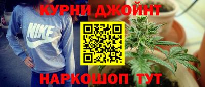 мдпв Камышлов