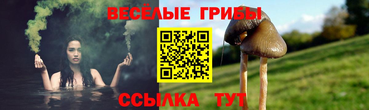 Красноармейск  Псилоцибиновые грибы прущие грибы  Вход с VPN 